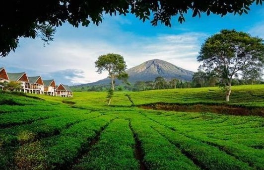 5 Tempat wisata gunung di Palembang terupdate