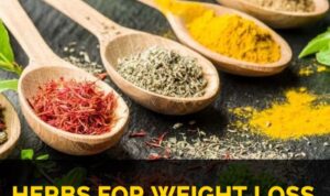 Herbs for weight loss