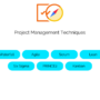 Project Management Techniques