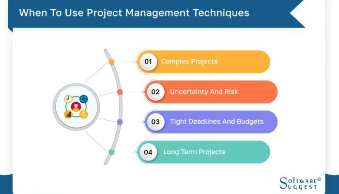 Project Management Techniques