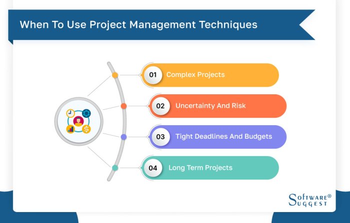 Project Management Techniques