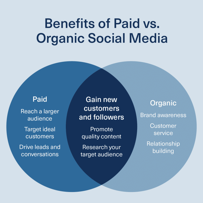 Increasing Organic Reach on Social Media