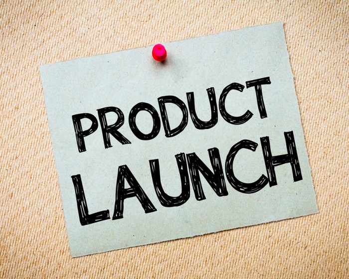 Product Launch Ideas